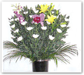 籠入生花