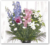 籠入生花