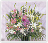 籠入生花